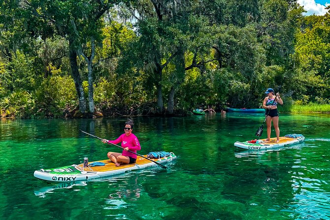 Rainbow Springs Paddle Board Tour - Guides and First-Timer Confidence: What Makes This Feel Relaxing