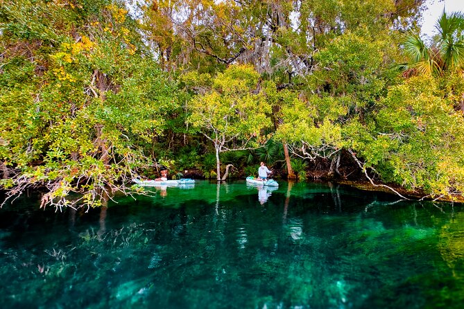 Rainbow Springs Paddle Board Tour - What You’ll Do During the Paddle: Looking Down, Not Just Looking Around