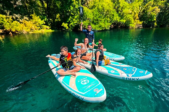 Rainbow Springs Paddle Board Tour - Photos, Video, and the Comfy Board Setup
