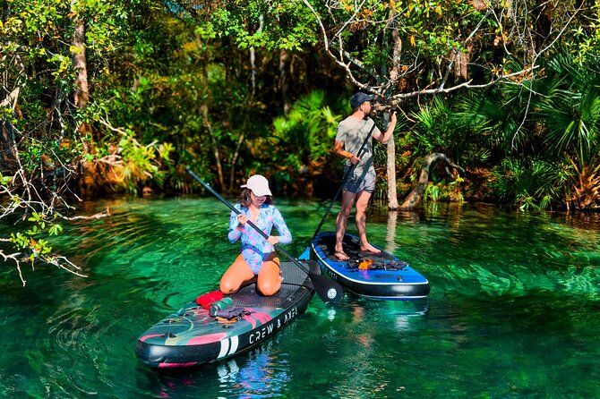 Rainbow Springs Paddle Board Tour - 2.5 Hours on the Water: Timing, Pacing, and What Your Body Needs