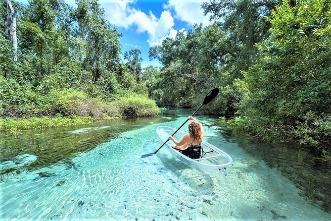 Rock Springs 2-Hour Glass Bottom Guided Kayak Eco Tour - Key things to know before you go