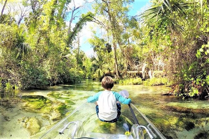 Rock Springs 2-Hour Glass Bottom Guided Kayak Eco Tour - Wildlife spotting: what to watch for and how to stay realistic
