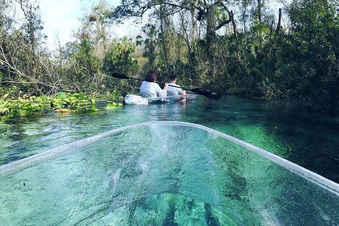 Rock Springs 2-Hour Glass Bottom Guided Kayak Eco Tour - Who this tour suits best (and who should skip it)