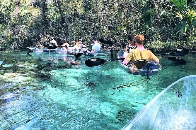 Rock Springs 2-Hour Glass Bottom Guided Kayak Eco Tour - How the 2 to 2.5-hour paddle actually plays out