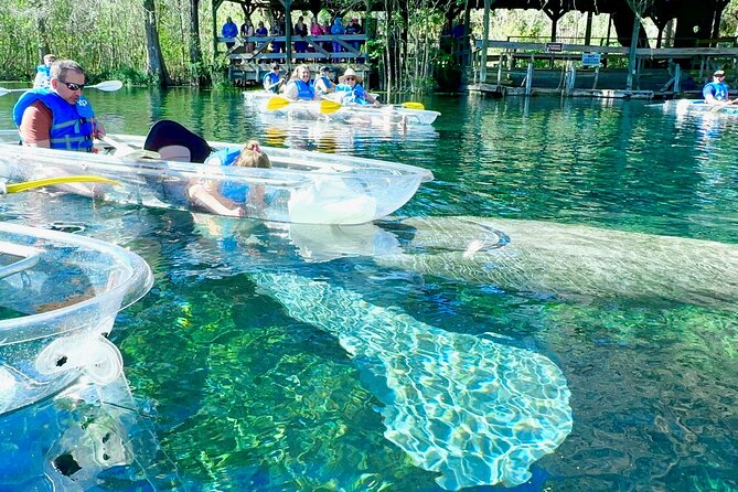 Sassy’s Silver Springs Kayak and Paddleboard Tours - What You Get Before You Ever Paddle