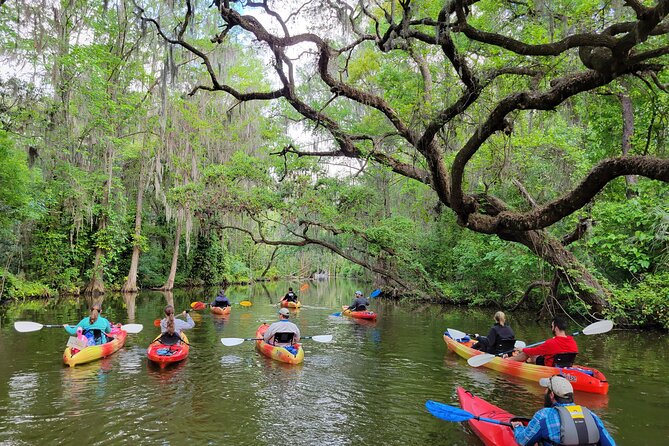 Scenic Half-Day Kayak or Paddleboard Rental – Dora Canal - Key things to know before you paddle