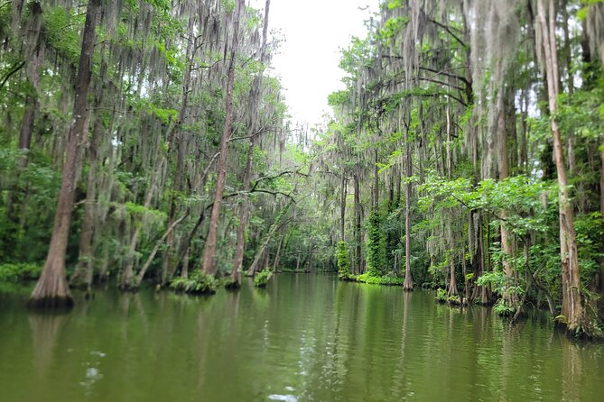 Scenic Half-Day Kayak or Paddleboard Rental – Dora Canal - Tavares launch point: easy to find, close to why you came