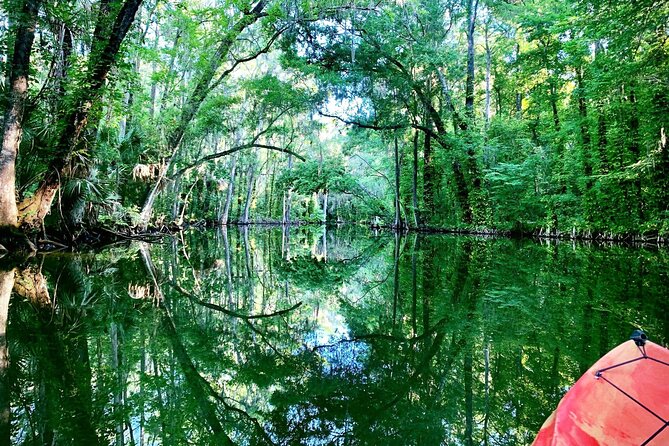 Scenic Half-Day Kayak or Paddleboard Rental – Dora Canal - Lake Dora paddling: calm scenery and easy wildlife time