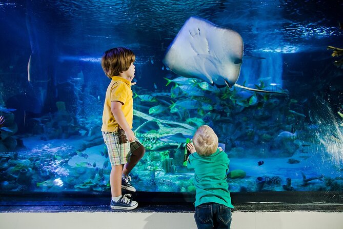 SEA LIFE Orlando Aquarium Admission Ticket at ICON Park - Getting in Fast with Mobile Barcodes