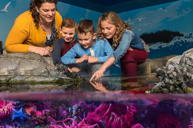 SEA LIFE Orlando Aquarium Admission Ticket at ICON Park - The Animals You Should Aim For First