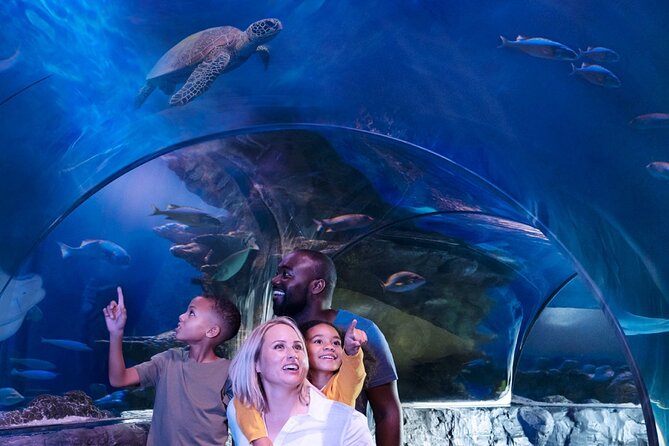 SEA LIFE Orlando Aquarium Admission Ticket at ICON Park - How Long You’ll Actually Need at SEA LIFE