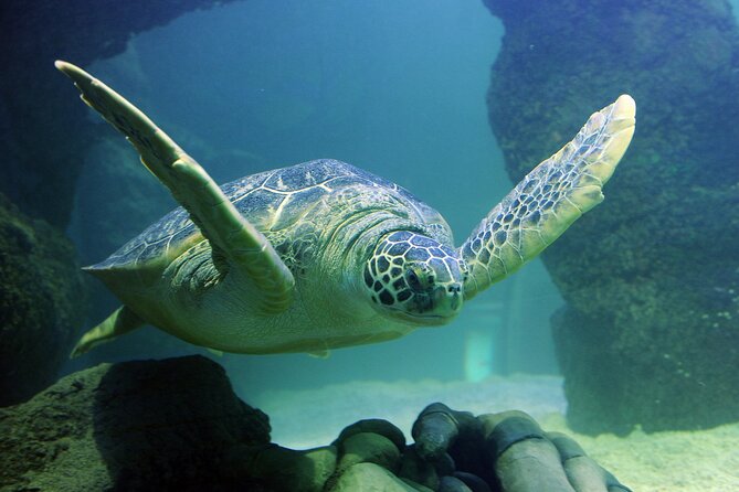 SEA LIFE Orlando Aquarium Admission Ticket at ICON Park - Madame Tussauds Orlando: Lifelike Faces as a Mood Switch