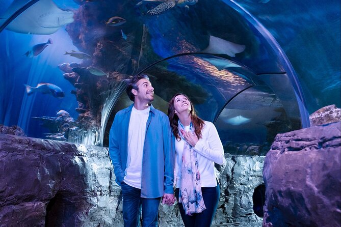 SEA LIFE Orlando Aquarium Admission Ticket at ICON Park - ICON Park and International Drive: Turning One Ticket into a Half-Day Loop
