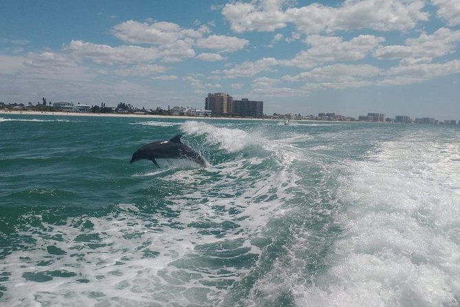 Sea Screamer Boat Cruise in Clearwater Beach with Transport - Lunch voucher option at Post Corner Cafe: when it’s a good value