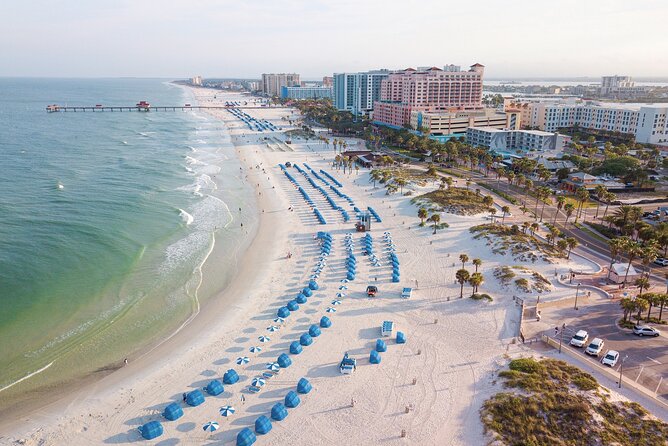 Sea Screamer Boat Cruise in Clearwater Beach with Transport - The Sea Screamer speedboat: the dolphin ride you’ll remember