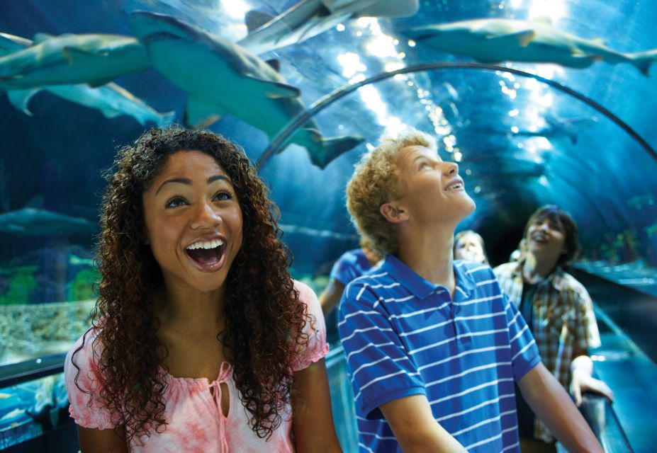 SeaWorld Orlando: Park Admission Ticket - What you’ll love, and what to watch for
