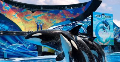 SeaWorld Orlando: Park Admission Ticket - Coasters and penguins: the park’s smart mix