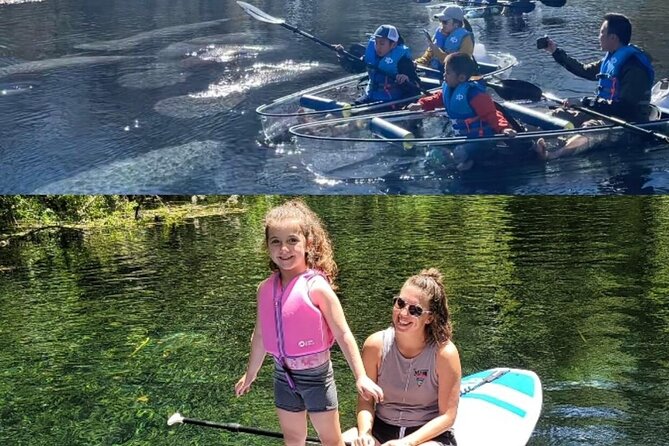 Silver Springs Clear Kayak Manatee, Monkey & Wildlife Adventures - What a clear-bottom paddle looks like in real life