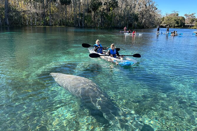 Silver Springs Clear Kayak Manatee, Monkey & Wildlife Adventures - Practical tips that help you enjoy it more