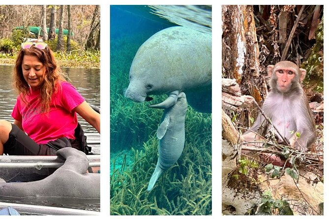 Silver Springs Clear Kayak Manatee, Monkey & Wildlife Adventures - The guide matters: how Steve, Chris, and Ashley shape the tour