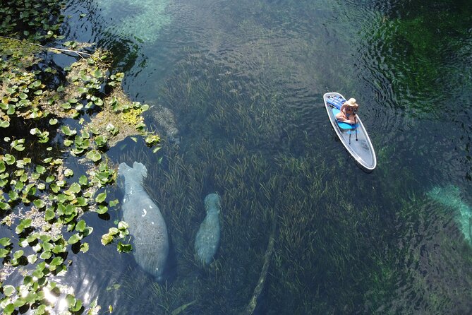 Silver Springs: Clear Kayak Wildlife Adventure - Gear and Safety: Included Items and What the Weight Rules Mean