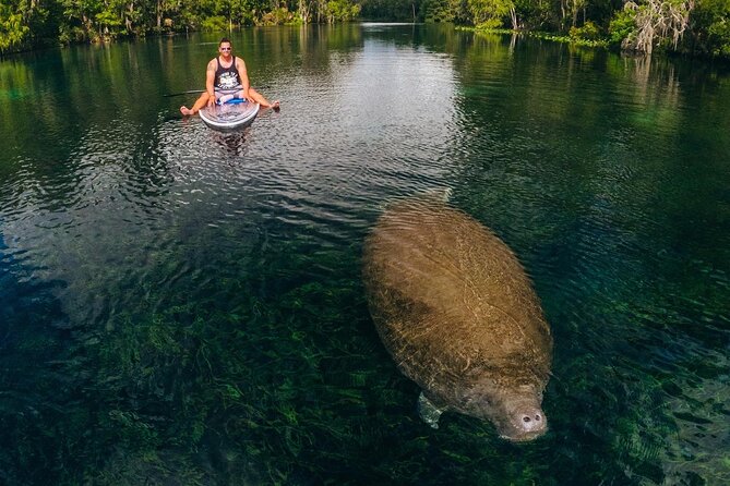 Silver Springs: Clear Kayak Wildlife Adventure - Price and Logistics Reality Check: What You Pay For vs. What Costs Extra