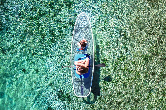 Silver Springs: Clear Kayak Wildlife Adventure - Who Should Book This Silver Springs Clear Kayak Tour?