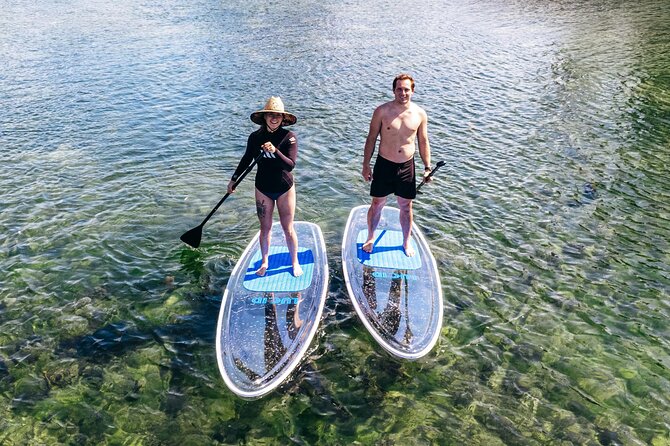 Silver Springs: Clear Kayak Wildlife Adventure - The Bottom Line: Should You Book This Kayak Adventure?