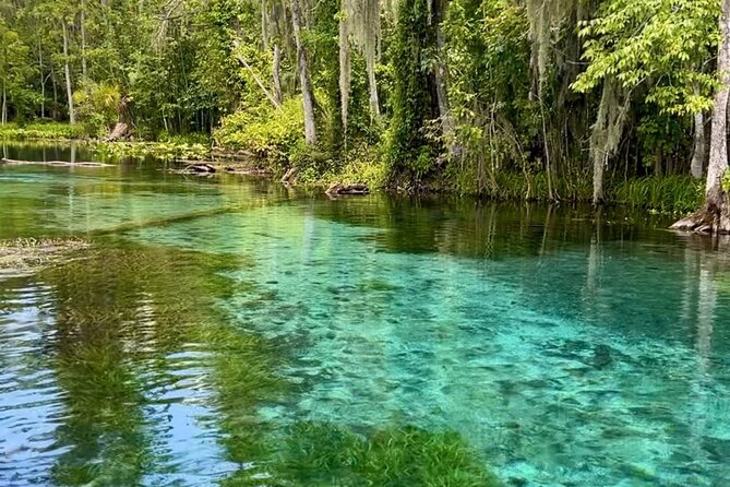 Silver Springs: Clear Kayaking Wildlife Tour - Why Clear Kayaking at Silver Springs Feels Like a Different Planet