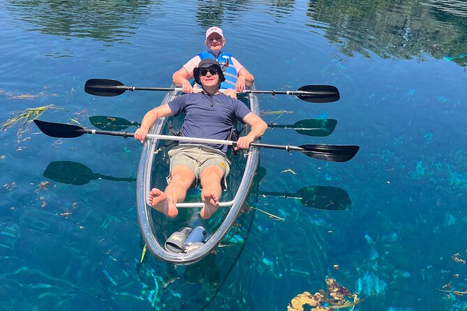 Silver Springs: Clear Kayaking Wildlife Tour - Wildlife Spotting: What You Can Actually Expect to See