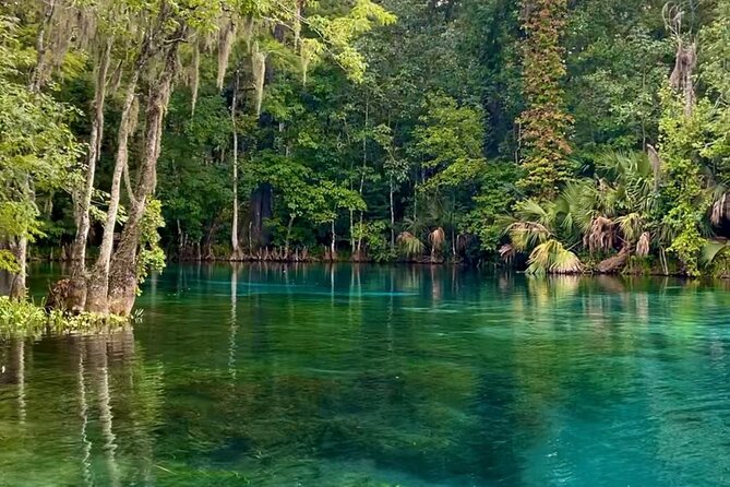 Silver Springs: Clear Kayaking Wildlife Tour - Getting There: Where to Meet and How to Find Your Kayaks