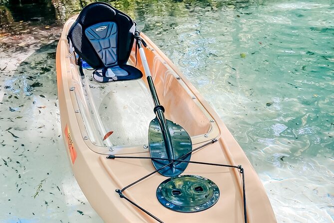 Silver Springs Glass Bottom Kayak Tour - Wildlife Watching Tips That Improve Your Chances (Without Stress)