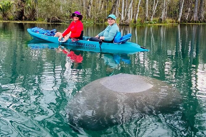 Silver Springs Glass Bottom Kayak Tour - Value Check: Is the $39.50 Price Fair for Silver Springs?
