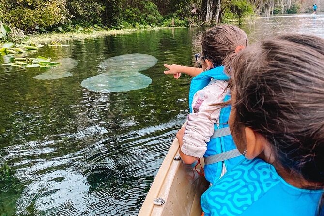 Silver Springs Glass Bottom Kayak Tour - The Logistics That Affect Your Experience (Without Making It Complicated)
