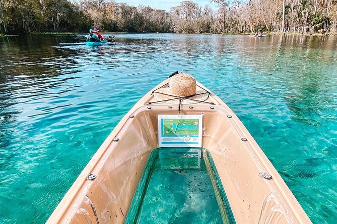 Silver Springs Glass Bottom Kayak Tour - What’s Included in Your Wet Rabbit Kayak Day (And Why It Matters)