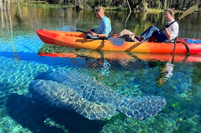Silver Springs Jungle Kayaking and Paddleboarding - Wildlife Encounters You Can Actually Plan For