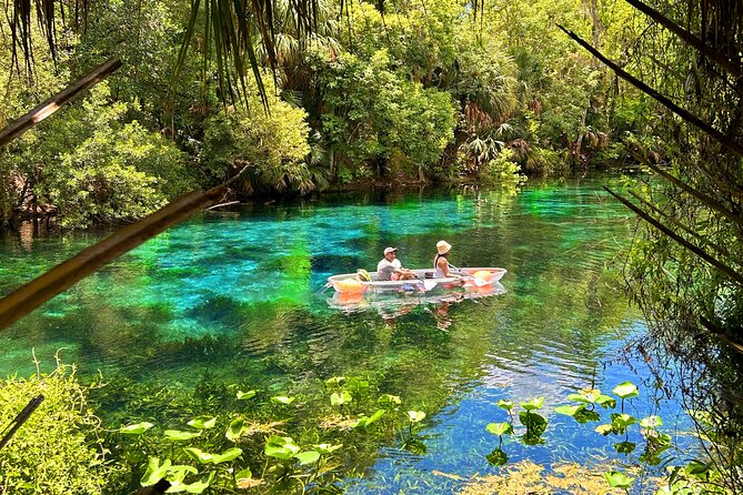 Silver Springs Jungle Kayaking and Paddleboarding - Is It Easy? Yes, With a Real Arm Workout