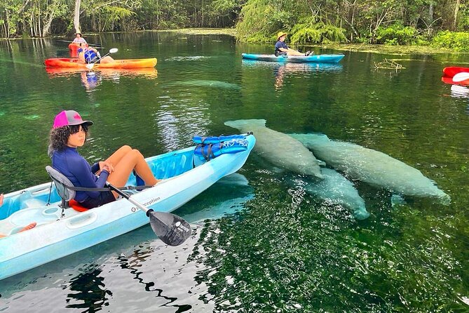 Silver Springs Kayak Rental - The Best Florida Adventure - Key things I’d plan around