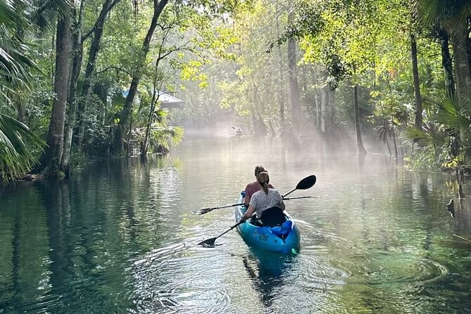 Silver Springs Kayak Rental - The Best Florida Adventure - Silver Springs Kayak Rental: What Makes This River Trip Worth Your Time?