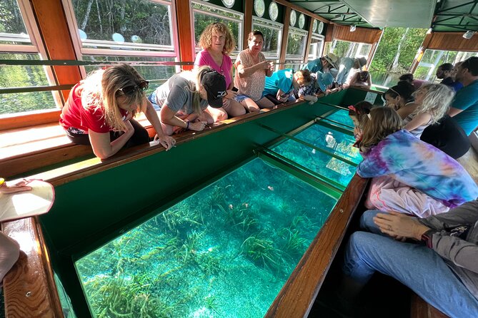 Silver Springs Manatee Kayak, Glass Boat Small Group Max 14 Tour - Silver River kayaking and paddling: getting close to wildlife