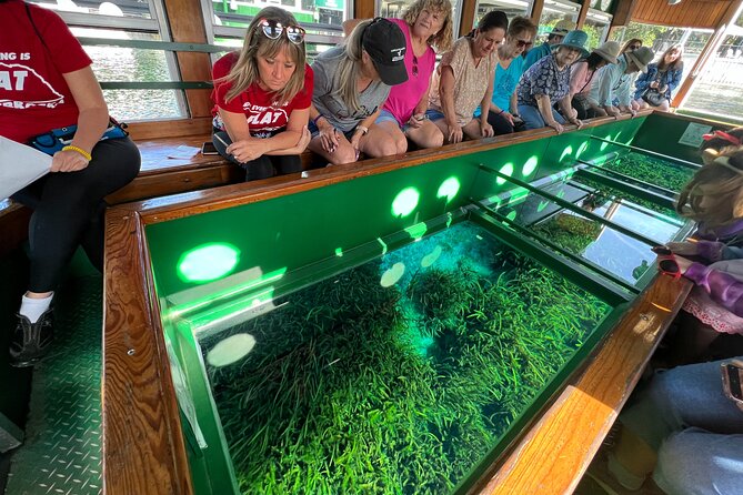 Silver Springs Manatee Kayak, Glass Boat Small Group Max 14 Tour - Transportation back to Orlando: a day that stays comfortable