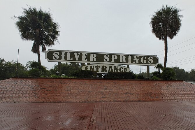 Silver Springs Manatee Kayak Tour - Aaron’s guide style: patient for beginners, sharp for sightings