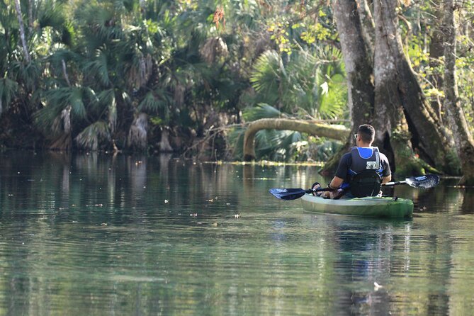 Silver Springs Manatee Kayak Tour - Weather can shape your afternoon in Silver Springs