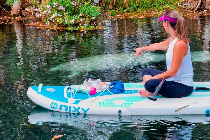 Silver Springs Manatee & Monkeys Paddle Board Tour - The Route That Keeps It Calm: Headspring to Fort King Paddle Trail