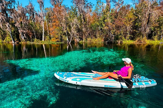 Silver Springs Manatee & Monkeys Paddle Board Tour - Weather, Water Temperature, and Fitness Reality Check