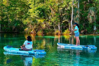 Silver Springs Manatee & Monkeys Paddle Board Tour - Price, Duration, and Group Size: What You’re Really Paying For