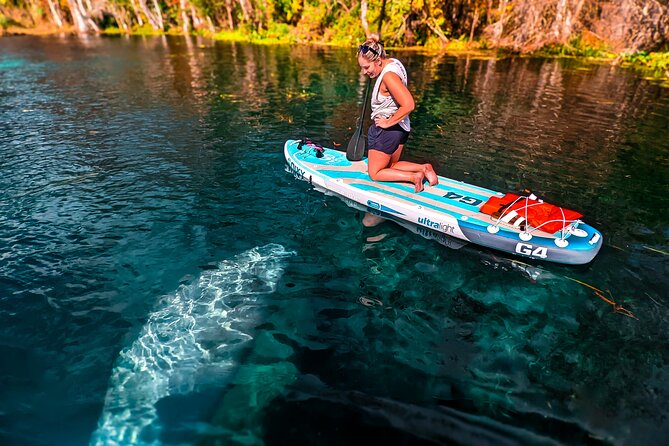 Silver Springs Manatee & Monkeys Paddle Board Tour - Should You Book the Silver Springs Manatee Paddle Board Tour?