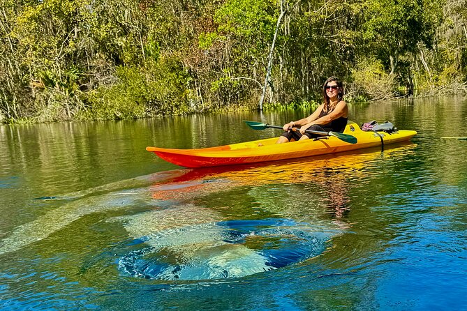 Silver Springs Premium Florida Wildlife Experience! - Paddling Silver Springs: Why This 2-Hour Trip Feels Worth It