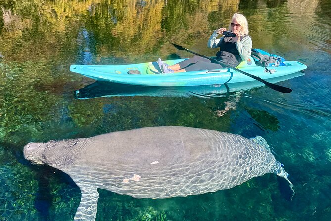 Silver Springs Premium Florida Wildlife Experience! - Wildlife Viewing Without the Hassle: Manatees, Gators, Turtles, and Friends