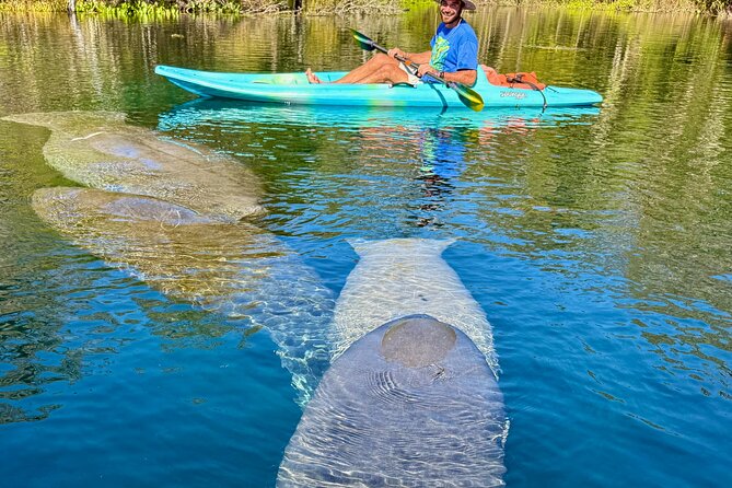 Silver Springs Premium Florida Wildlife Experience! - The Guide Experience: Tania-Style Storytelling That Stays Professional
